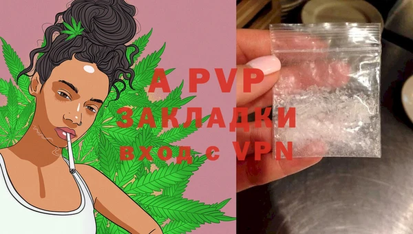 экстази Богданович